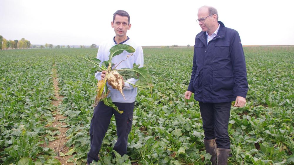 Damien Blondel, planteur de betteraves bio à Ludes, dans la Marne, et Bruno Labilloy, le directeur agricole du groupe Cristal Union, le 30 octobre 2019. © Chantal Urvoy